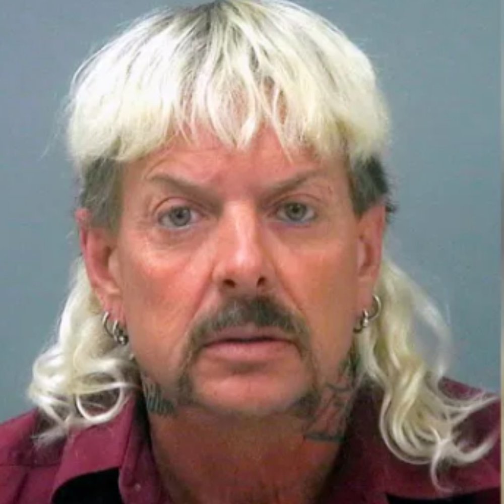 Meet your Posher, Coco